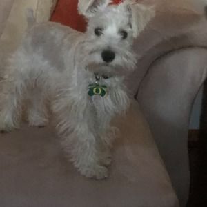 Meet your Posher, Cheryl